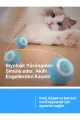 🐱HAREKETLİ KEDİ OYUN TOPU - dibidip 