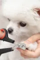 ✂️KEDİ KÖPEK TIRNAK MAKASI - dibidip 