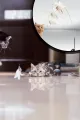 😺VANTUZLU KEDİ OYUN OLTASI - dibidip 